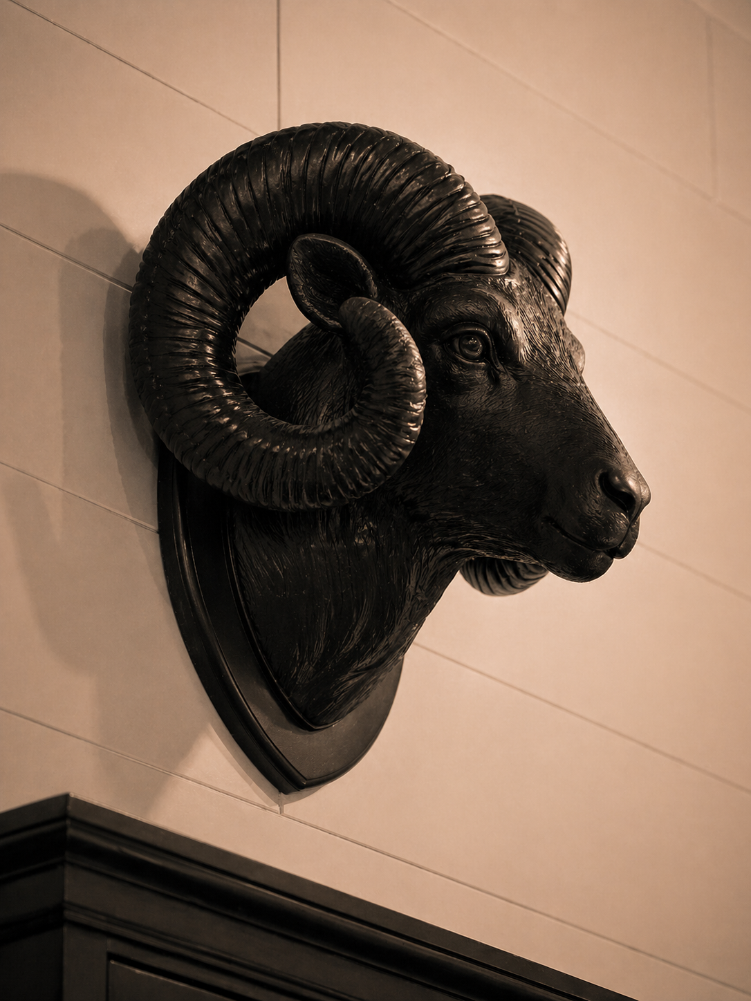 Mounted ram head, profile against shelf